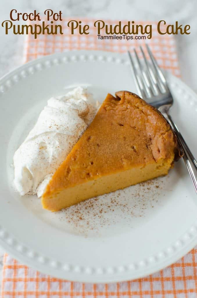 Crock Pot Pumpkin Pie Pudding Cake Recipe - Tammilee Tips