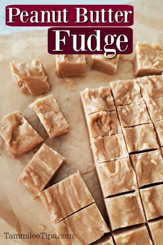 4 Ingredient Peanut Butter Fudge - Tammilee Tips