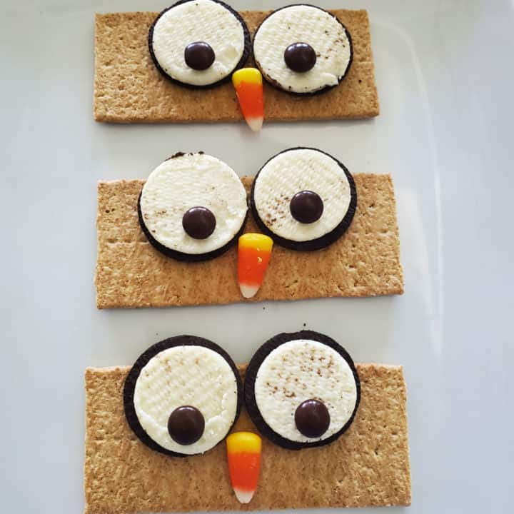 How to make Graham Cracker Owls {Video} - Tammilee Tips