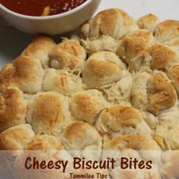 Cheesy Biscuit Bites Recipe- Tammilee Tips