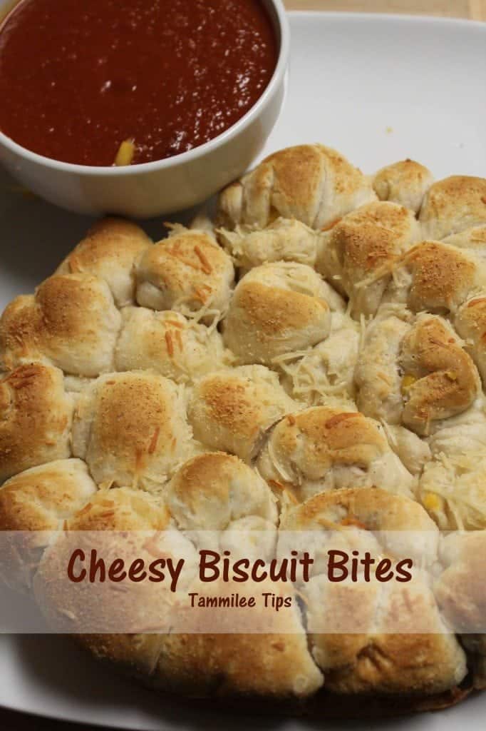 Cheesy Biscuit Bites Recipe- Tammilee Tips