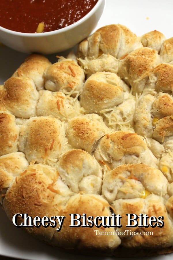 Cheesy Biscuit Bites Recipe Tammilee Tips 9971