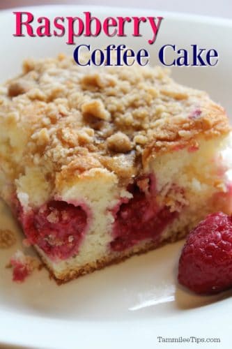 Easy Raspberry Coffee Cake Recipe - Tammilee Tips