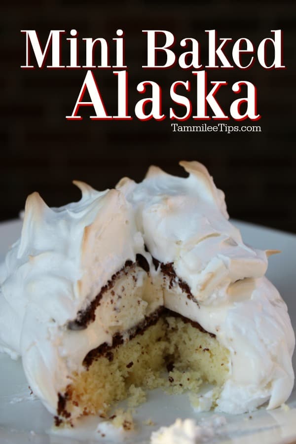 Easy Individual Mini Baked Alaska Recipe - Tammilee Tips