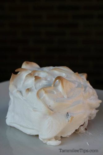 Easy Individual Mini Baked Alaska Recipe - Tammilee Tips