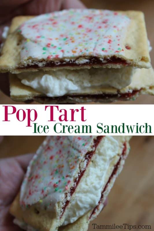 The Deep Fried Ice Cream Pop-Tarts Sandwich -  - Food