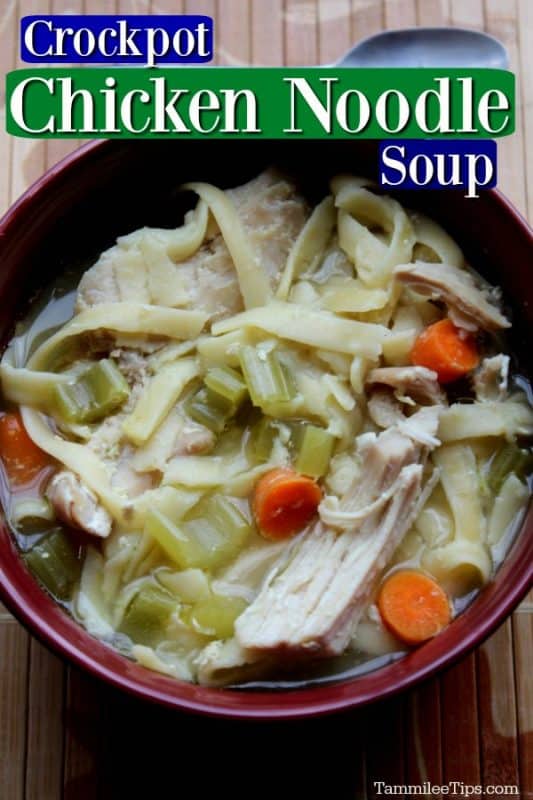 https://www.tammileetips.com/wp-content/uploads/2013/11/crockpot-chicken-noodle-soup-recipe-533x800.jpg