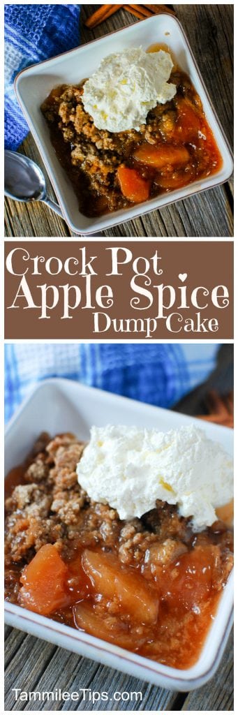 Super easy Crock Pot Apple Spice Dump Cake Recipe