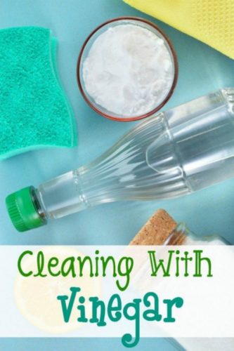 10 Easy Tips for Cleaning with vinegar - Tammilee Tips