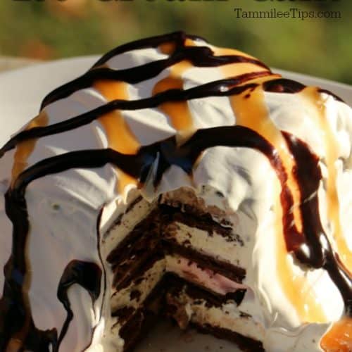 Easy Chocolate Caramel Ice Cream Cake - Tammilee Tips