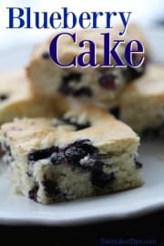 Homemade Blueberry Cake Recipe - Tammilee Tips