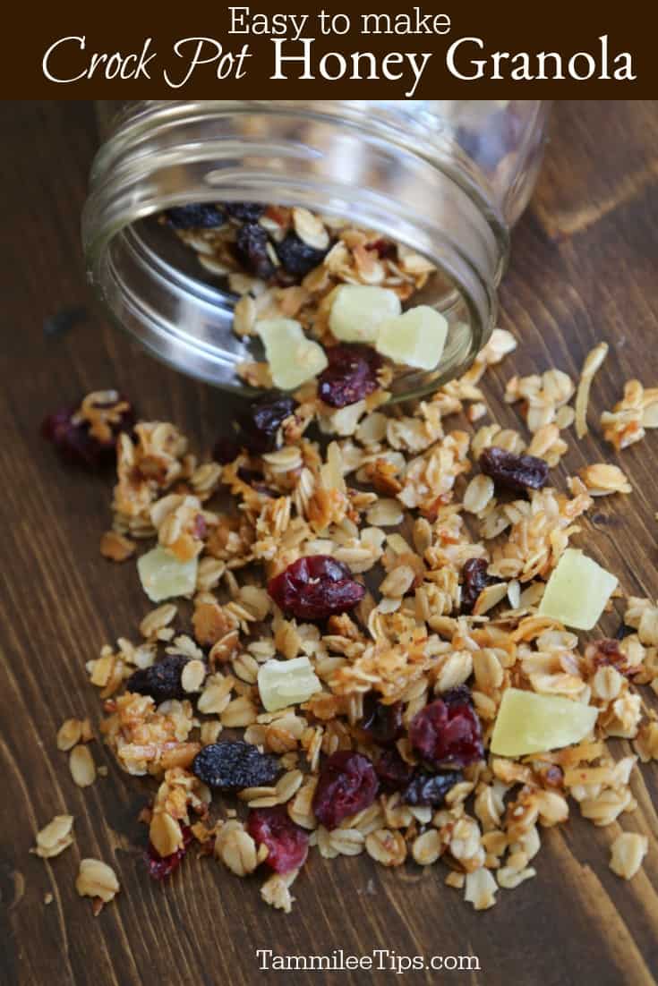 Dehydrated Fruit Recipe Crock Pot Honey Granola with dried fruit recipe 