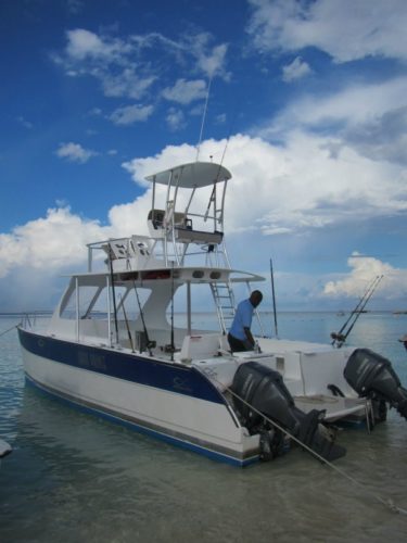 Reeling in a great time while Deep Sea Fishing in Grand Turk - Tammilee ...