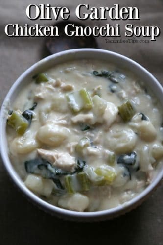 Copy Cat Olive Garden Chicken Gnocchi Soup Recipe - Tammilee Tips