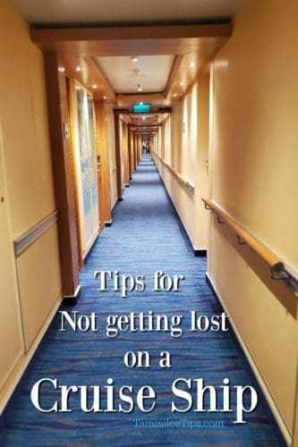 Navigating a cruise ship like a pro - Tammilee Tips