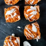 Buffalo Chicken Wontons Recipe - Tammilee Tips