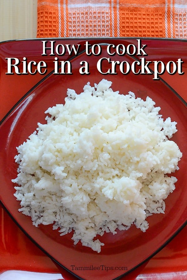 How to make Crock Pot Rice - Tammilee Tips