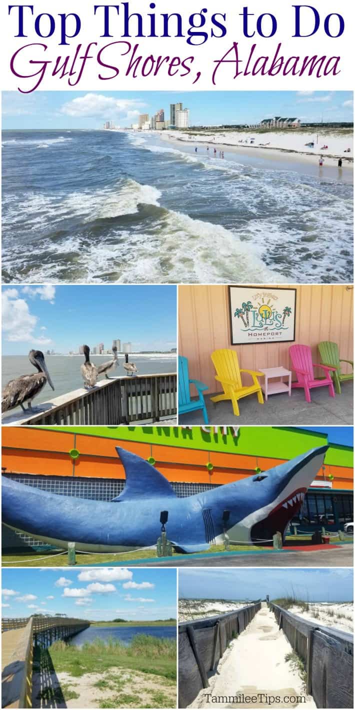 things-to-do-in-gulf-shores-alabama-tammilee-tips