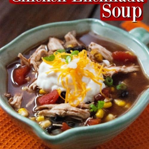 Slow Cooker Crockpot Chicken Enchilada Soup - Tammilee Tips