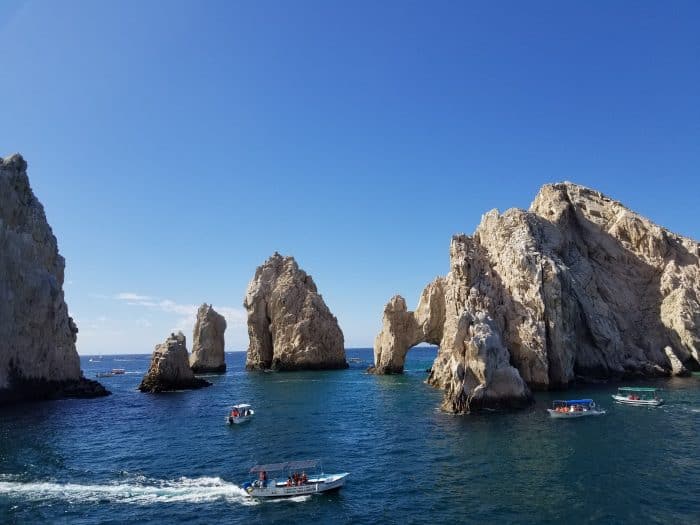 Cabo San Lucas Whale Watching Excursion - Tammilee Tips