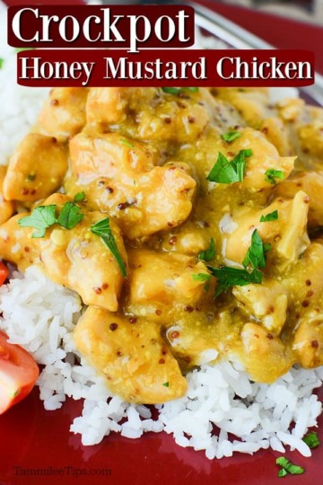 Crockpot Honey Mustard Chicken Recipe {Video} - Tammilee Tips