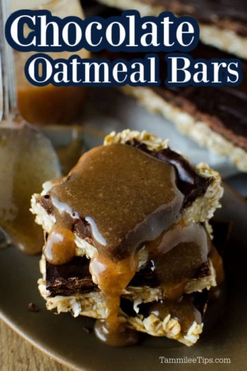 Chocolate Oat Bars Recipe Tammilee Tips