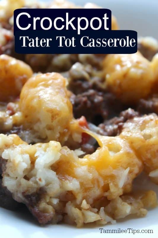 Crock Pot Tater Tot Casserole Recipe- Tammilee Tips