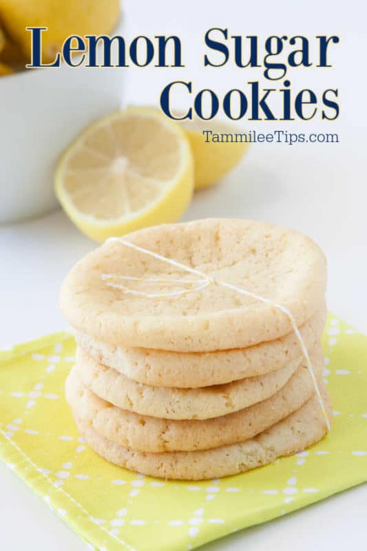 Cookies Archives - Tammilee Tips