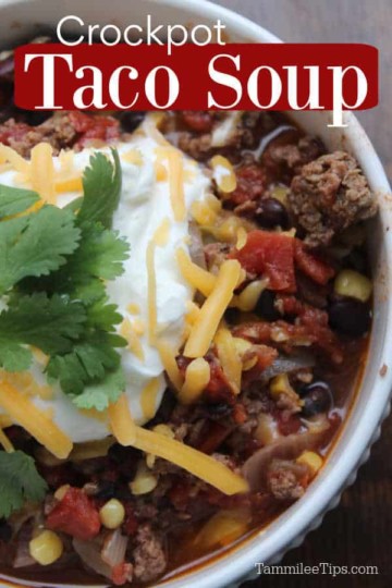 Spicy Taco Soup Crockpot Recipe - Tammilee Tips