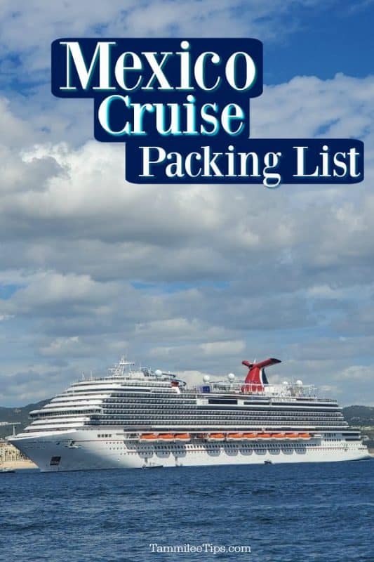 cruise travel to mexico requirements