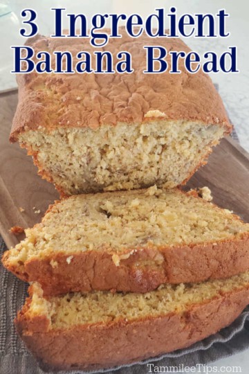 3 Ingredient Banana Bread Recipe {Video} - Tammilee Tips