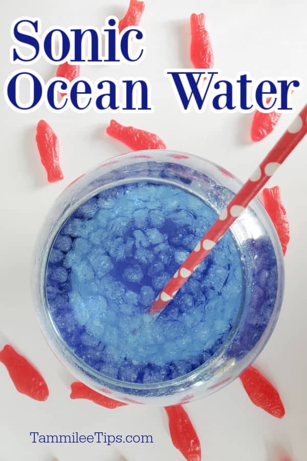 copycat-sonic-ocean-water-recipe-video-tammilee-tips