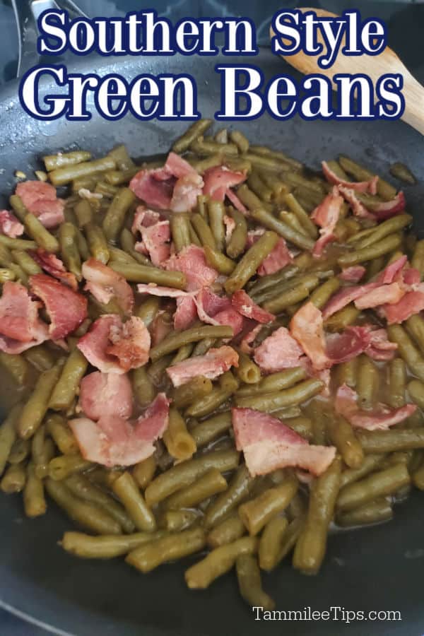 Southern Style Green Beans Recipe {Video} - Tammilee Tips