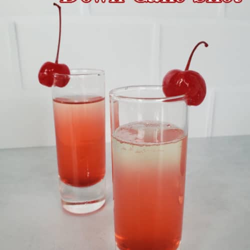 Pineapple Upside Down Cake Shot - Tammilee Tips