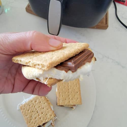 Air Fryer Smores Recipe Tammilee Tips