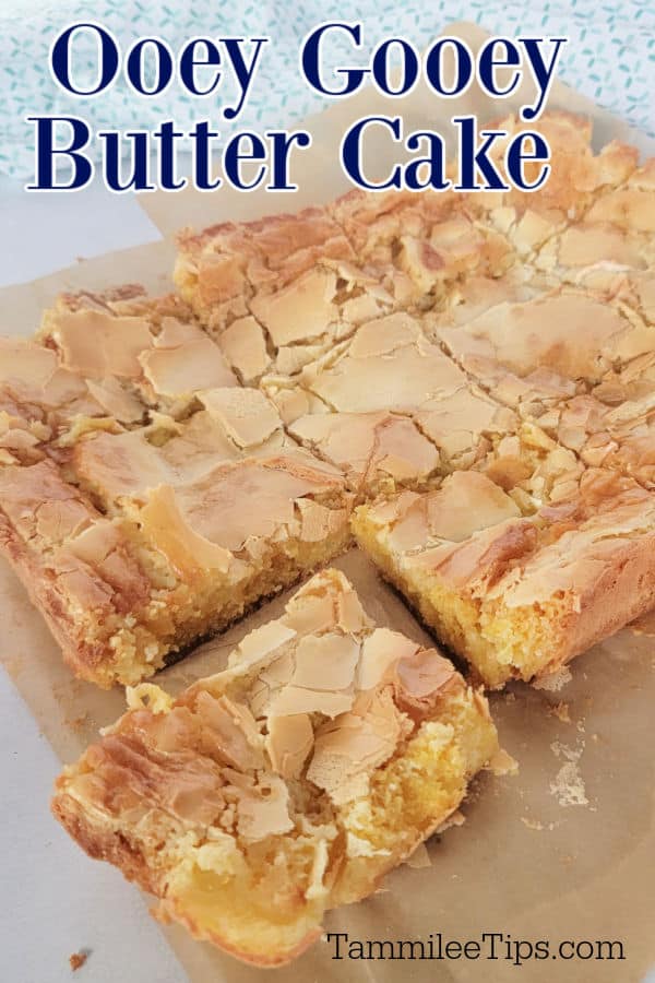 Ooey Gooey Butter Cake Recipe Video Tammilee Tips