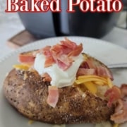 Air Fryer Baked Potato - Tammilee Tips