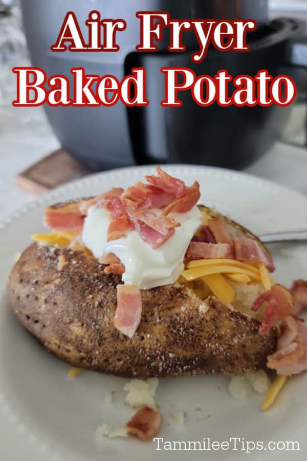 Air Fryer Baked Potato - Tammilee Tips