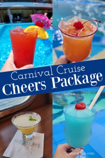 carnival-cheers-package-questions-answered-tammilee-tips