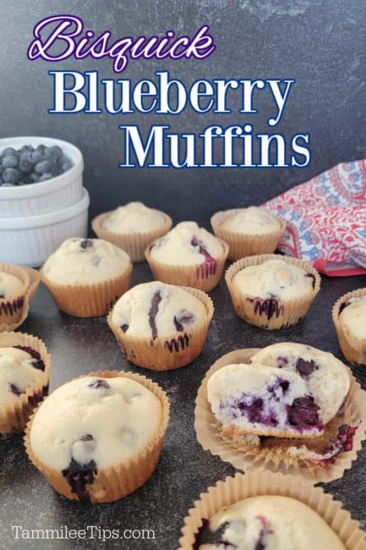 https://www.tammileetips.com/wp-content/uploads/2021/10/Bisquick-Blueberry-Muffin-Recipe-533x800.jpg