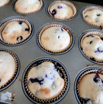 Bisquick Blueberry Muffins Recipe Tammilee Tips