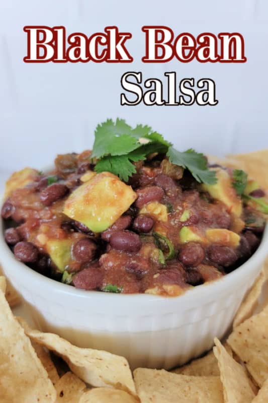 Black Bean Salsa Recipe - Tammilee Tips
