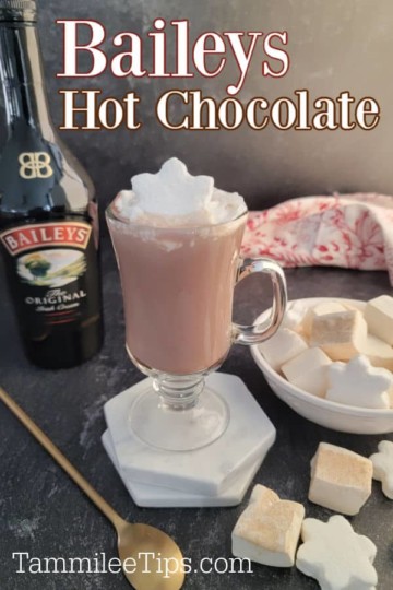 Easy And Delicious Baileys Hot Chocolate Recipe Tammilee Tips 