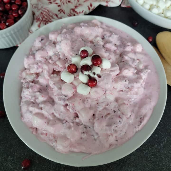 Cranberry Fluff Salad Recipe (Quick and Easy) - Tammilee Tips