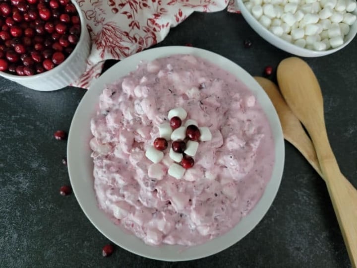 Cranberry Fluff Salad Recipe (Quick and Easy) - Tammilee Tips