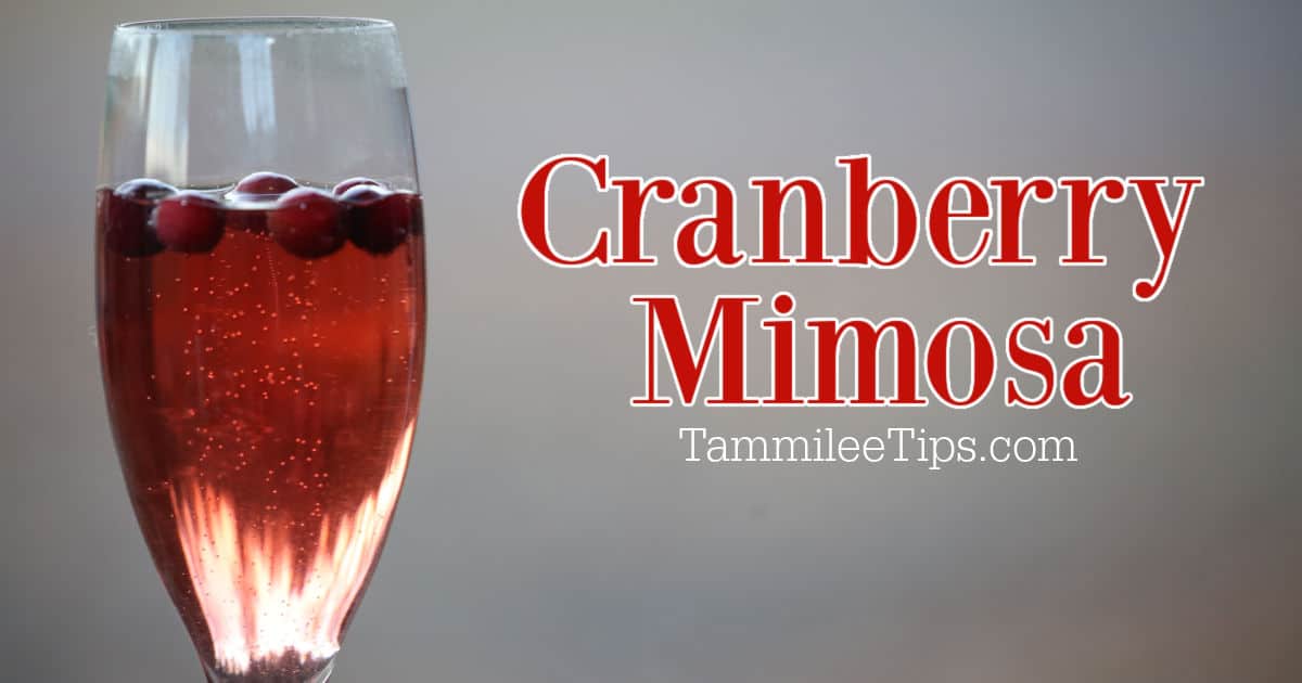 Cranberry Mimosa Recipe: Easy And Delicious - Tammilee Tips