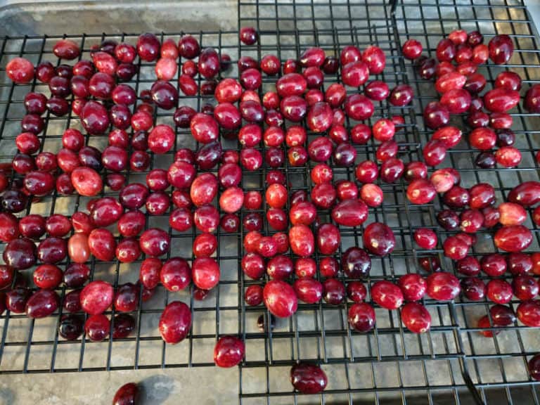 How To Make Sugared Cranberries (Quick And Easy) - Tammilee Tips