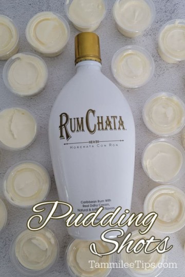 How To Make RumChata Pudding Shots: A Step By Step Guide - Tammilee Tips