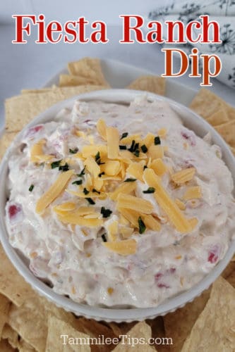 Fiesta Ranch Dip Recipe - Tammilee Tips