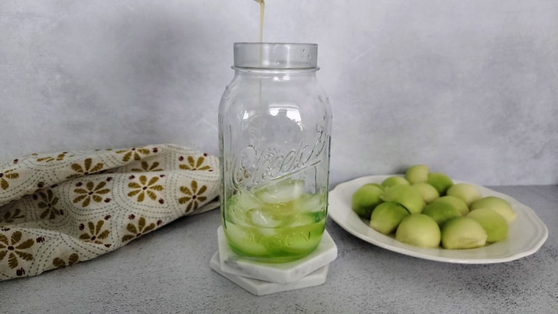 Melon Ball Shot Tammilee Tips